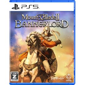 MOUNT & BLADE II: BANNERLORDのメイン画像