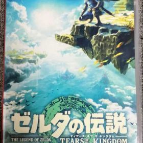 ゼルダの伝説 ティアーズ オブ ザ キングダム