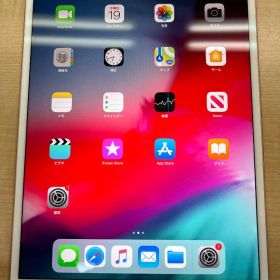 【ip-13】ショップ展示品 iPad Pro(10.5インチ） 64GB