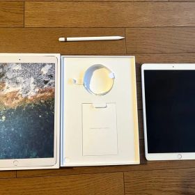 Apple iPad pro 10.5インチ 256GB Pencilつき