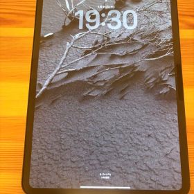 iPad Pro 11inch M4 Wi-Fi 256GB スペブラ フォリオ