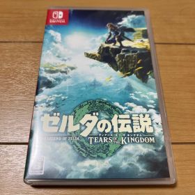 ゼルダの伝説 ティアーズ オブ ザ キングダム