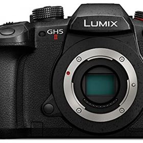 パナソニック ミラーレス一眼カメラ ルミックス GH5M2 ボディ ブラック DC-GH5M2