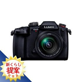 パナソニック DC-GH5M2M デジタル一眼カメラ DCGH5M2M