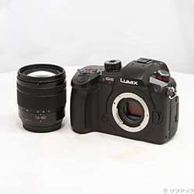 期間特価対象品 LUMIX GH5II 標準ズームレンズキット DC-GH5M2M