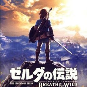 ゼルダの伝説 ブレス オブ ザ ワイルド Nintendo Switch 2 Edition