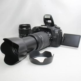 キヤノン Canon EOS 90Dダブルレンズセット 当店限定多数のオマケ付き