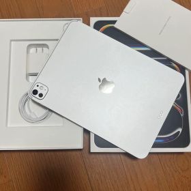 超美品iPad Pro 2025 11インチ256GB wifi版シルバー M5
