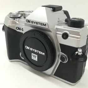 OM SYSTEM OM SYSTEM OM-5 12-45mm F4.0 PRO レンズキット シルバー