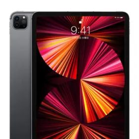 Apple docomo 【SIMロック解除済み】 11インチ iPad Pro（第3世代/2021） 256GB スペースグレイ MHW73J/A
