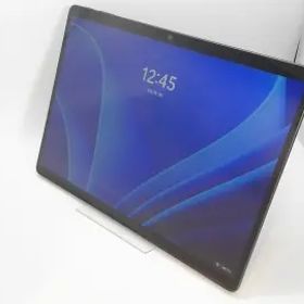 Microsoft Surface Pro (第11世代/2024) LCDディスプレイ 【Snapdragon X Plus 16G 512G】 EP2-19225 ブラック