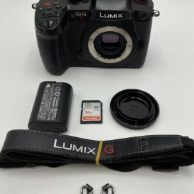 【動作確認】Panasonic LUMIX DC-GH5M2 ボディ