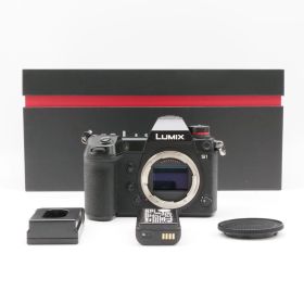 ≪極上品≫ Panasonic LUMIX S1 #008006