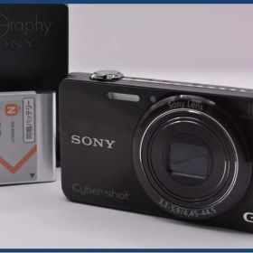 【動作保証】 ソニー SONY Cyber-shot DSC-WX200 10x バッテリー、充電器付属 同梱無料 #ak554