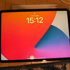 iPad Pro 11インチ 第1世代 256GB
