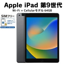 極美品 電池100％ Apple iPad 第9世代 64GB スペースグレイ SIMフリー SIMフリー