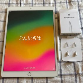 iPadPro10.5インチ256GB/ApplePencil第1世代と替芯付き