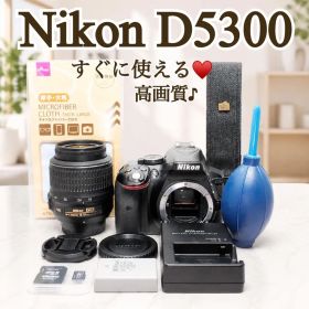 ✨高性能・人気モデル✨Nikon D5300❤️高画質・Wi-Fi搭載♪