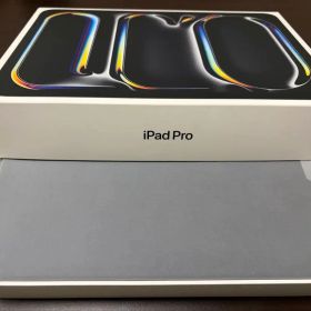 【極美品】iPad Pro 11インチ M4 2TB/16GB Cellular
