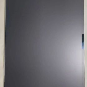 Apple iPad Pro11インチM5【極美品】