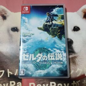 ゼルダの伝説 ティアーズ オブ ザ キングダム