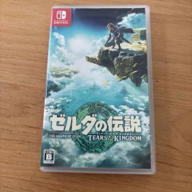 ゼルダの伝説 ティアーズ オブ ザ キングダム Switch