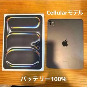 iPad Pro M4 11インチ 256GB cellularモデル