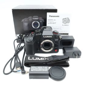 元箱付き。★美品★ PANASONIC パナソニック LUMIX DC-GH7 ボディ