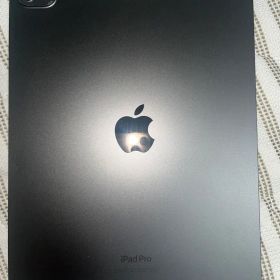 Apple iPad Pro M4 LTE