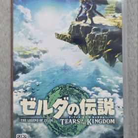 ゼルダの伝説 ティアーズ オブ ザ キングダム