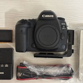 【メーカー点検・部品交換済】Canon EOS 5D Mark IV おまけ付