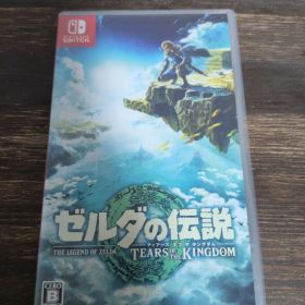 ゼルダの伝説 ティアーズ オブ ザ キングダム Switch ソフト