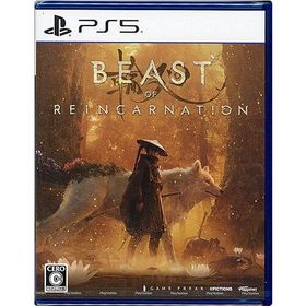 【ゆうパケット対応】Beast of Reincarnation(ビースト・オブ・リンカネーション) PS5