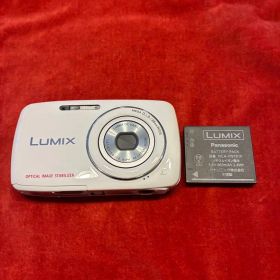 極美品 動作良好 Panasonic「LUMIX S」DMC-S1