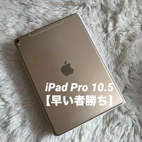 【早い者勝ち】iPad Pro 10.5 256GB SIMフリー【すぐ発送】