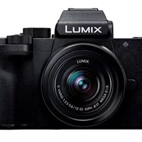 パナソニック LUMIX DC-G100DK レンズキット ミラーレス一眼カメラ[ラッピング可] R-LOGI