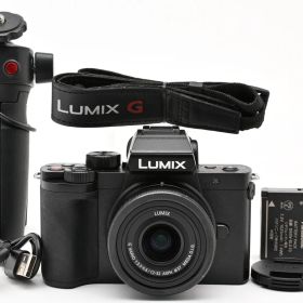 PANASONIC パナソニック ルミックス G100V DC-G100V-K ブラック #G269