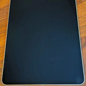 Apple iPad Pro 11インチ 第2世代 256GB 本体