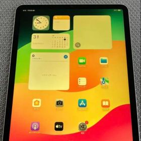 Apple iPad Pro 11インチ 第4世代 本体