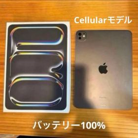 iPad Pro 11インチ M4 256GB Cellularモデル