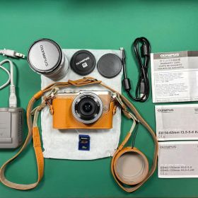 美品 OLYMPUS PEN E-PL9 ブラウン ダブルズームキット