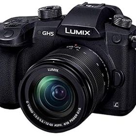 【中古】(非常に良い)パナソニック ミラーレス一眼カメラ ルミックス GH5 レンズキット 標準ズームレンズ付属 ブラック DC-GH5M-K