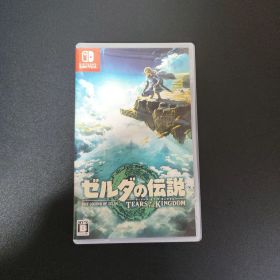 ゼルダの伝説 ティアーズ オブ ザ キングダム