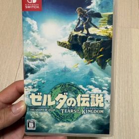 ゼルダの伝説 ティアーズ オブ ザ キングダム Switch
