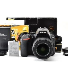 ■ 美品 ■ ニコン Nikon D5500 レンズキット ＃A1011