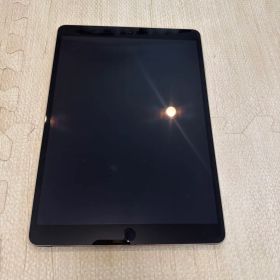 【ジャンク】iPad Pro 10.5インチ 256GB セルラーモデル