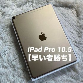 【ジャンク完動品】iPad Pro 10.5 512GB 【即発送】【付属品】